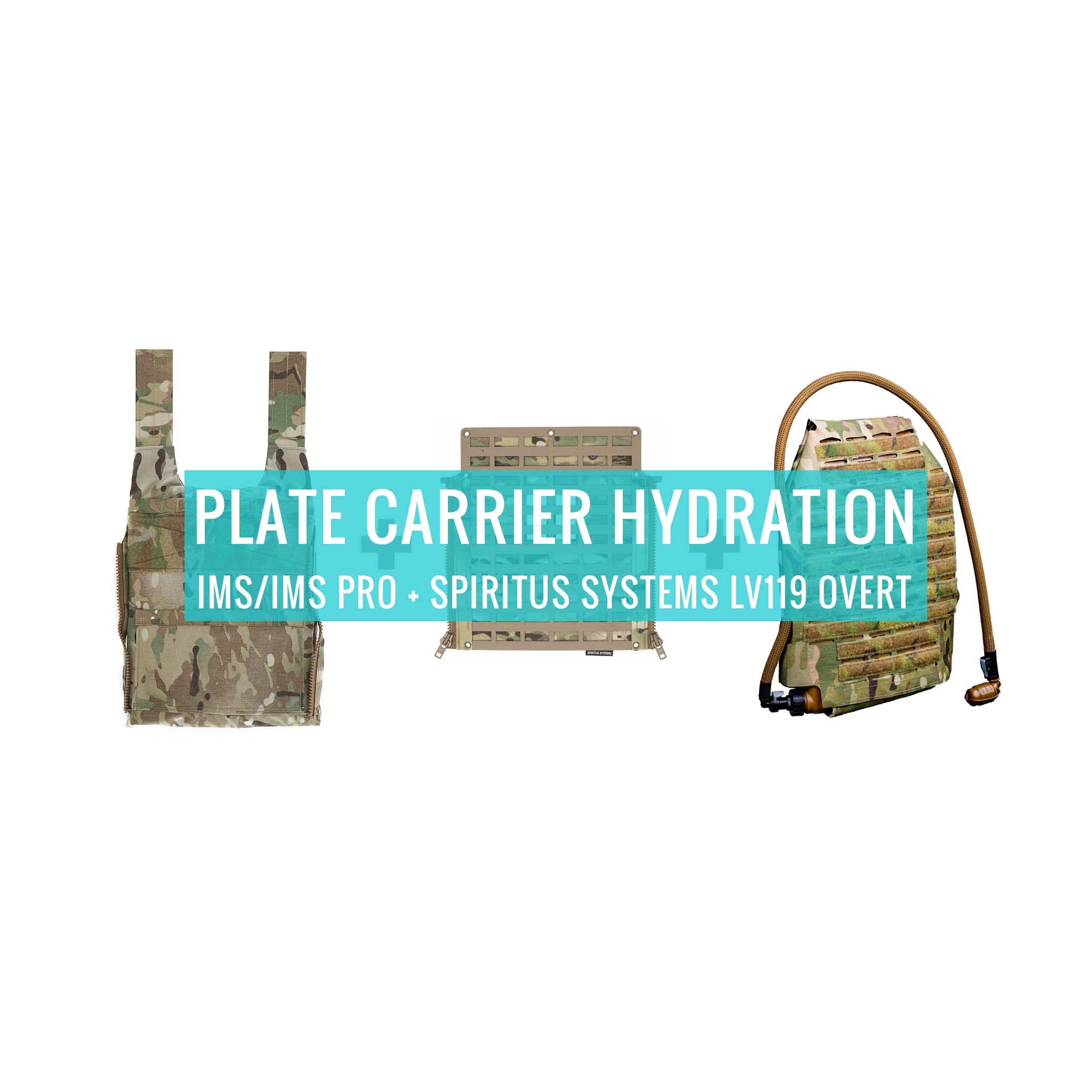 How do I run IMS or IMS Pro Hard Cell Plate Carrier Hydration