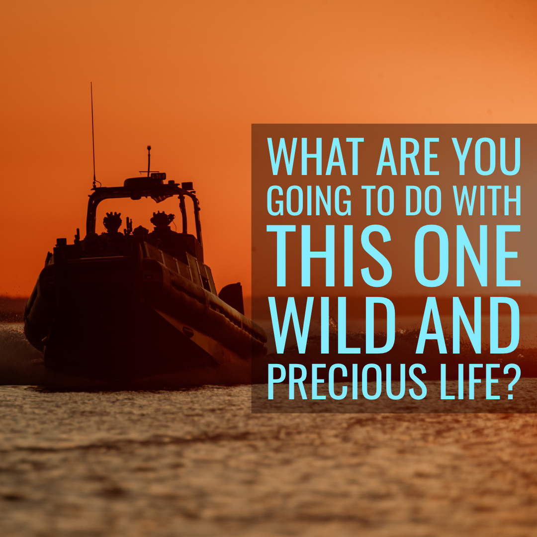 What are you going to do with this one wild and precious life?