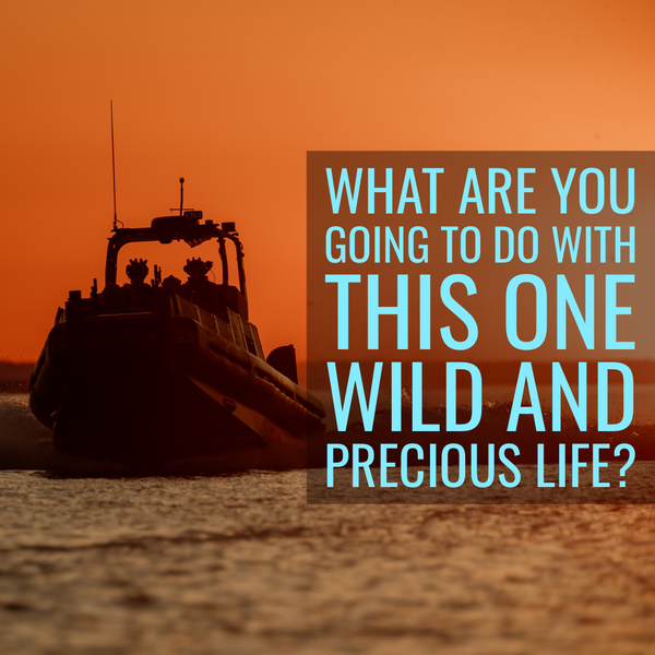 What are you going to do with this one wild and precious life?