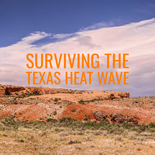 Survivre à la chaleur du Texas