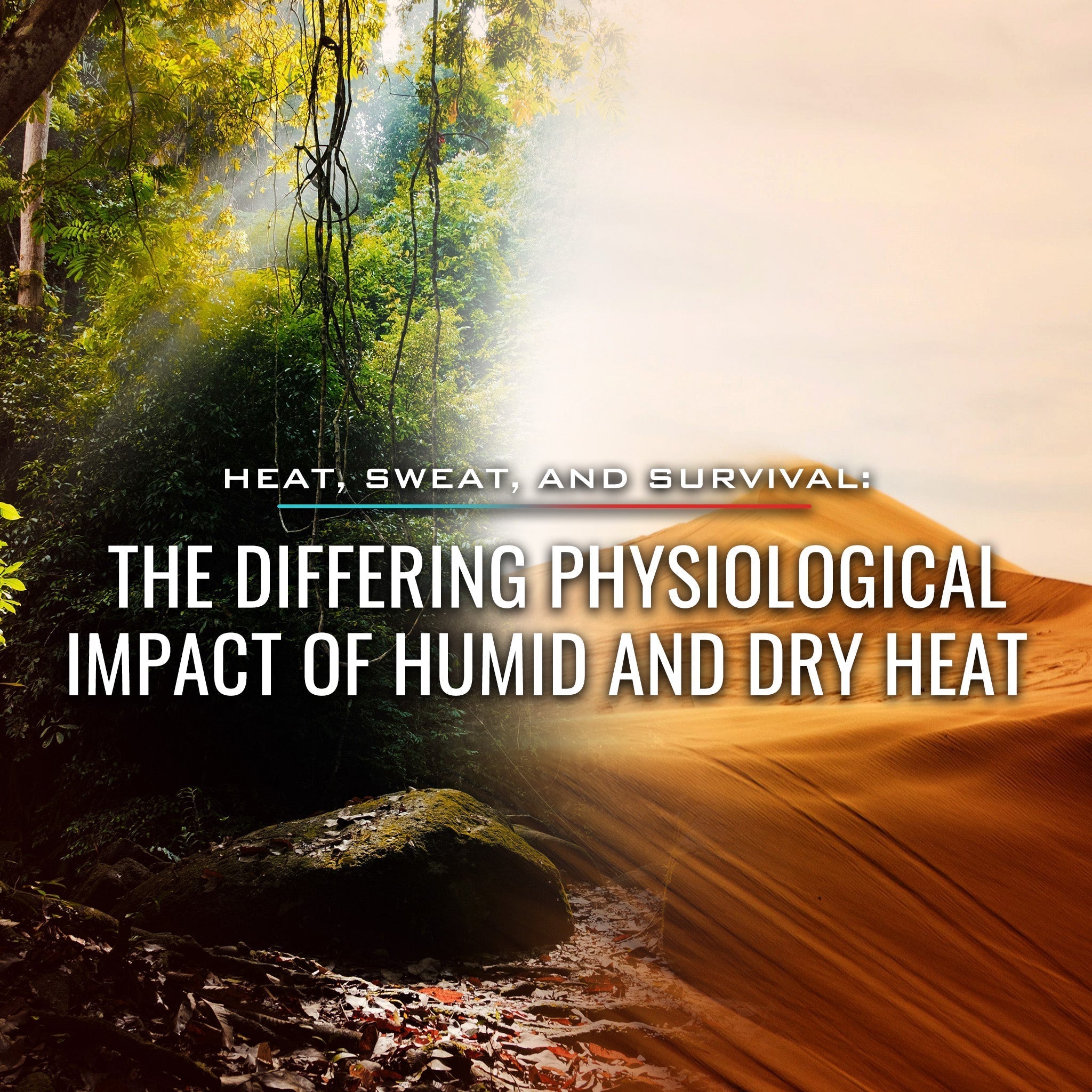 Heat, Sweat, and Survival: The Differing Physiological Impact of Humid and Dry Heat