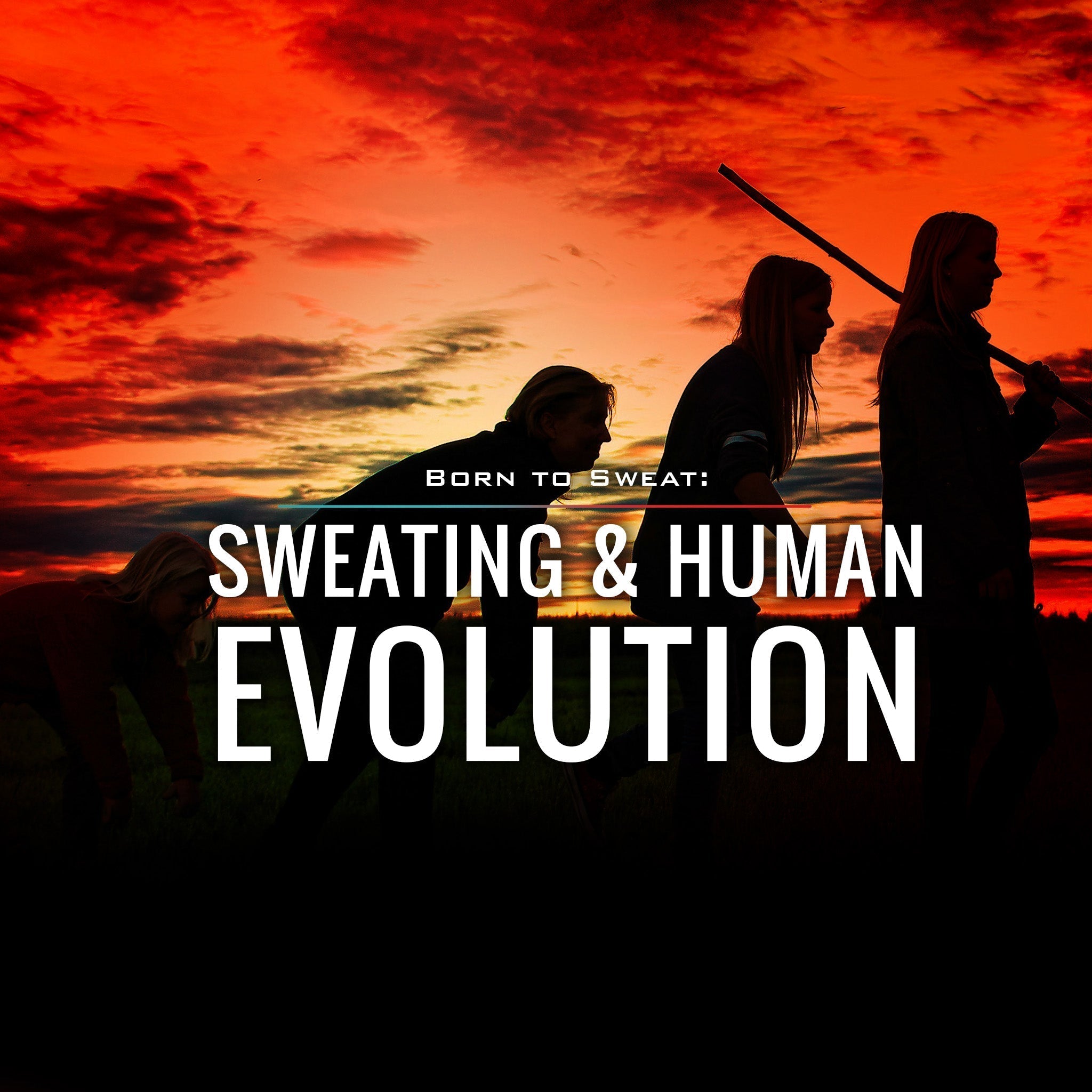 Born to Sweat: Sweating and Human Evolution